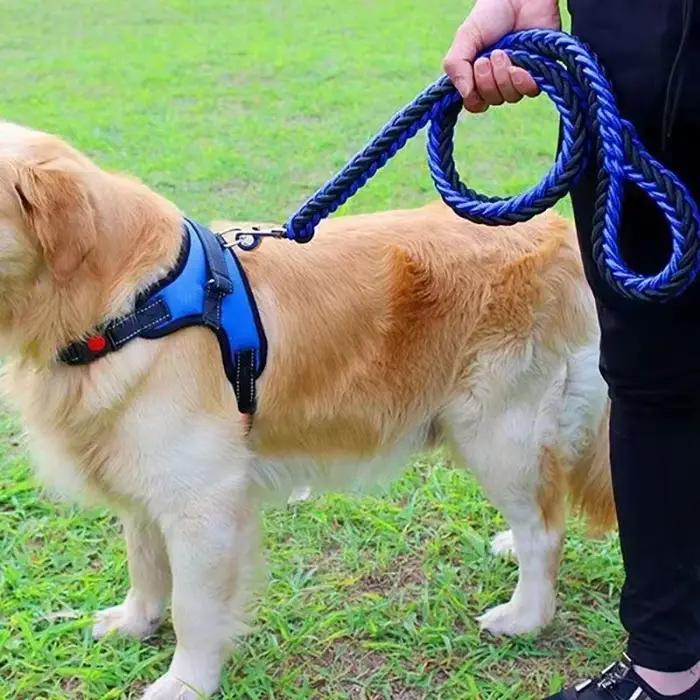 Laisse de harnais pour chien en Nylon pour chiens de taille moyenne et grande