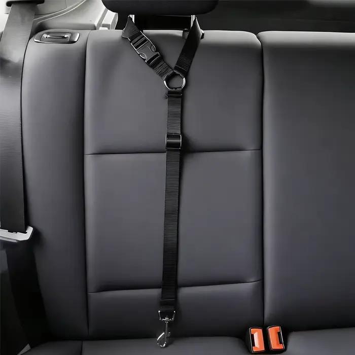 Ceinture de sécurité réglable pour chien avec boucle