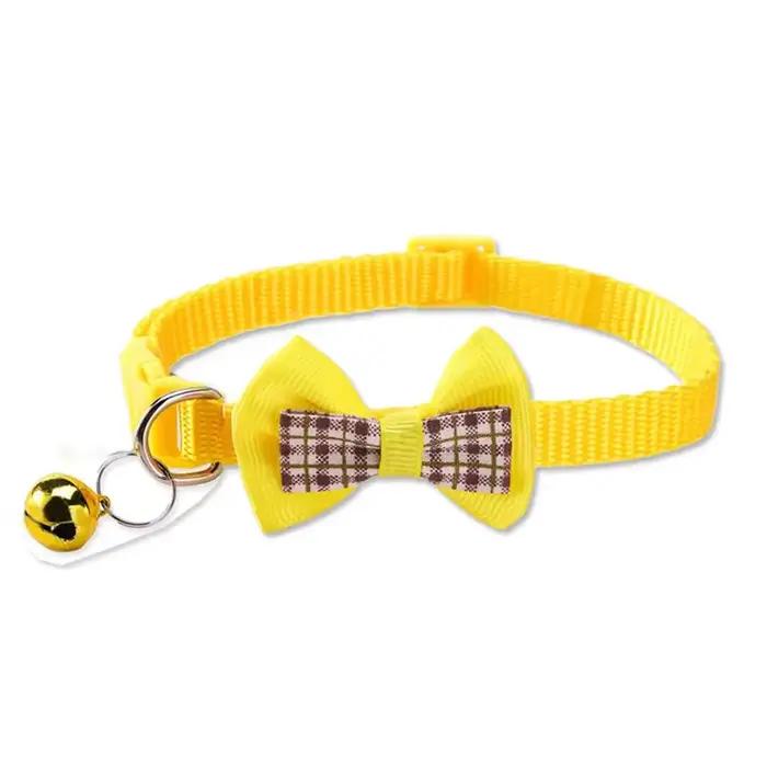 Collier pour chien mignon
