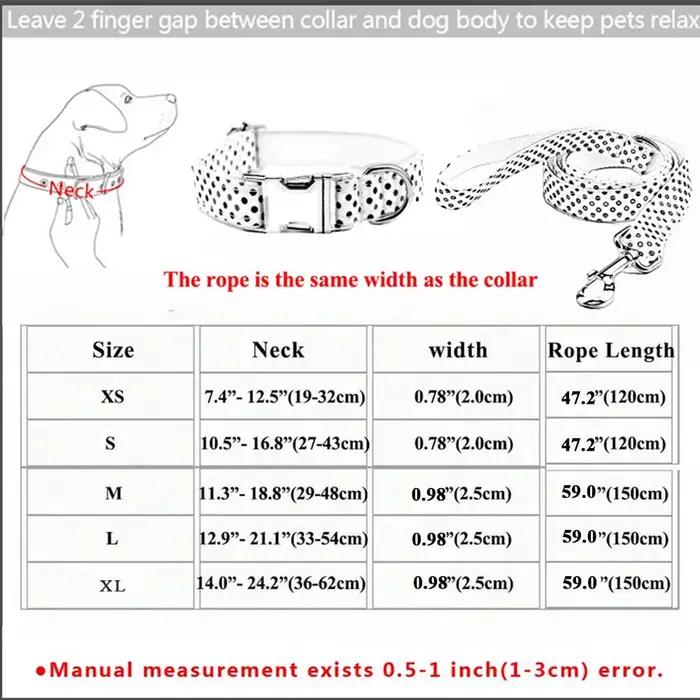 Ensemble de colliers de chien personnalisés