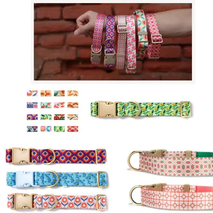 Collier de chien personnalisé réglable