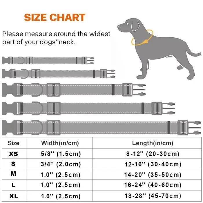 Collier pour chien en nylon réfléchissant