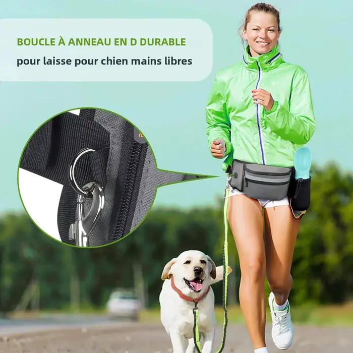 Poudres pour chien pour l'entraînement en plein air