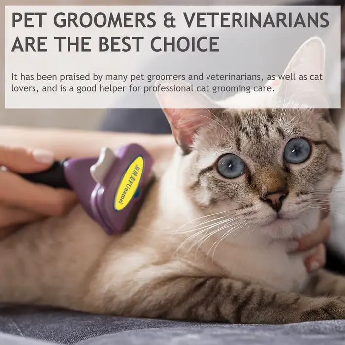 Brosse pour chien, accessoires de toilettage