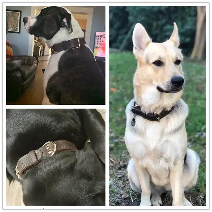 Benepaw – collier pour chien en cuir véritable de qualité
