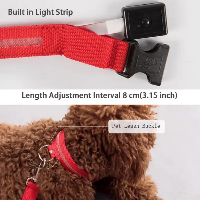 Collier pour chien lumière LED électronique sécurité nocturne Anti-perte Nylon réglable lumineux
