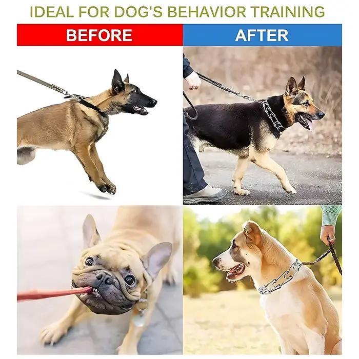 Collier d'entraînement à griffes pour chien