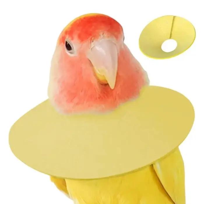 Collier anti-morsure pour oiseaux