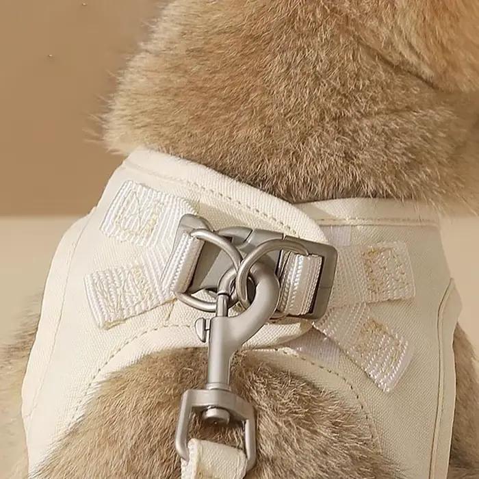 Ensemble harnais et laisse chic pour chaton - Design tendance