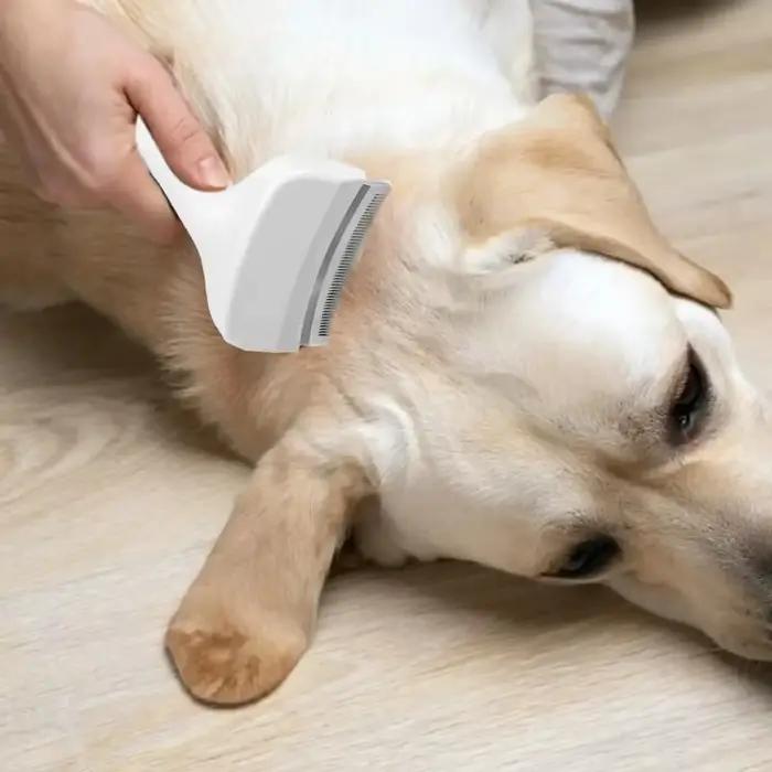 Brosse démêlante pour chiens et chats