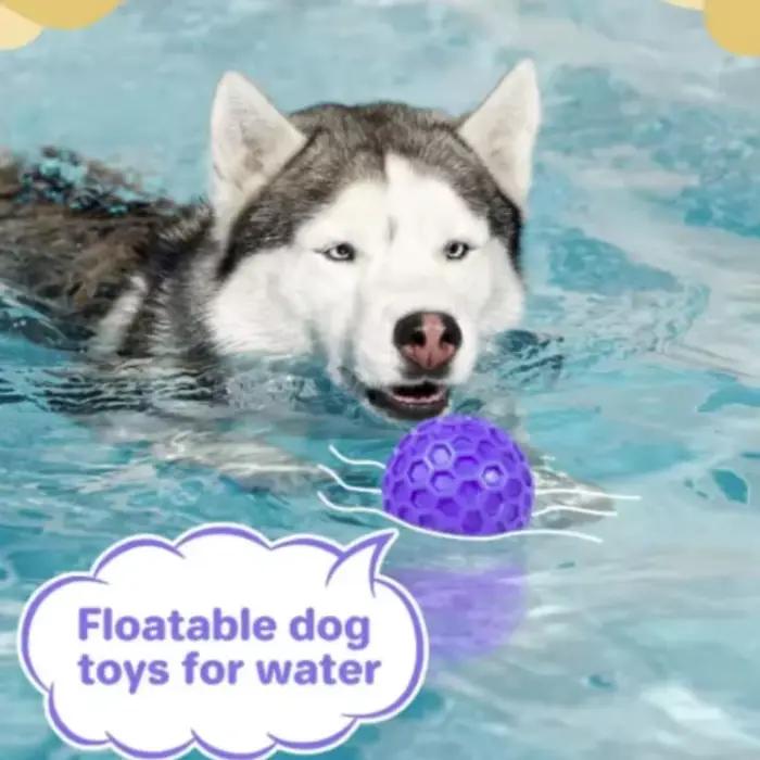 Balle en caoutchouc interactive indestructible pour chien