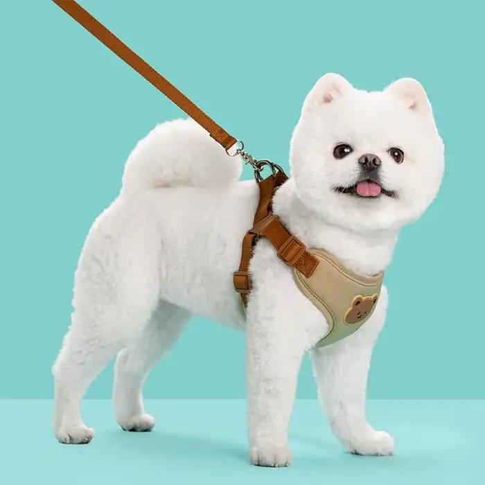 Ensemble de harnais et laisse pour chien
