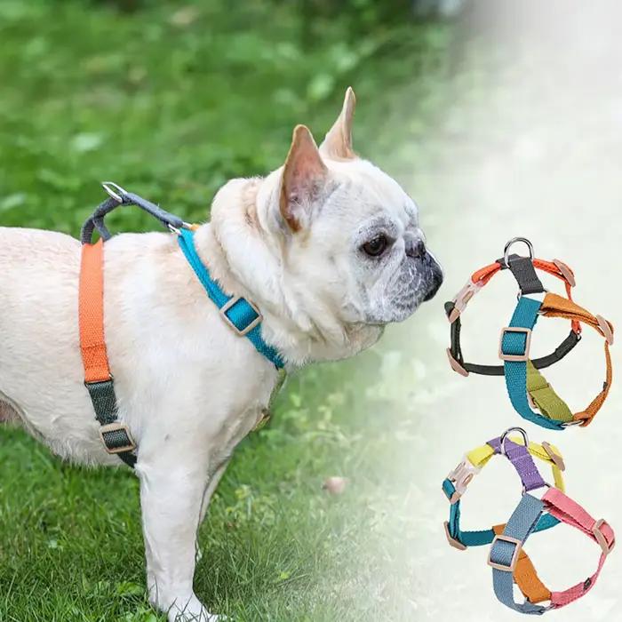 Harnais pour chien – Easy on And Off