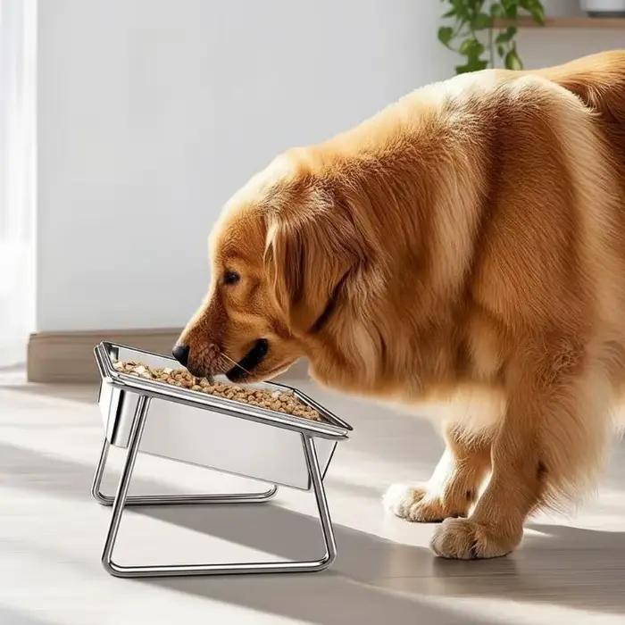 Bol pour chien en acier inoxydable grande capacité 15 ° Conception inclinée et surélevée avec protection du cou
