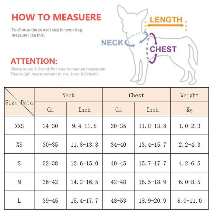 Ensemble harnais et laisse pour la promenade en extérieur pour chiens de petite à moyenne taille