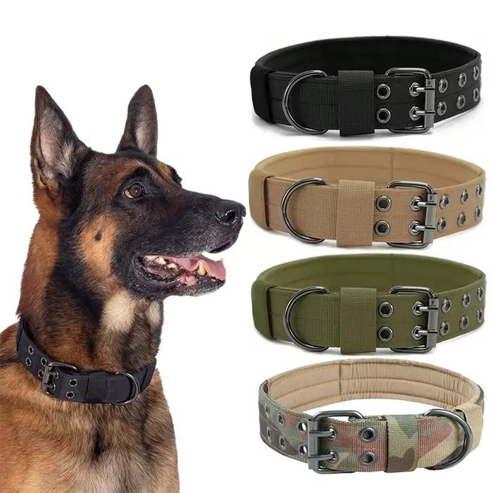 Collier tactique pour chien