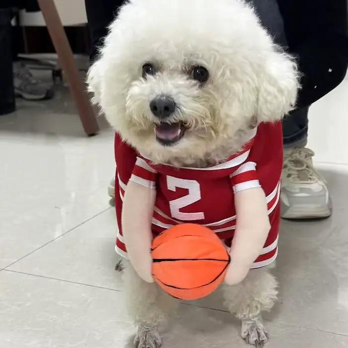 Costumes de basket-ball pour chiens et chats