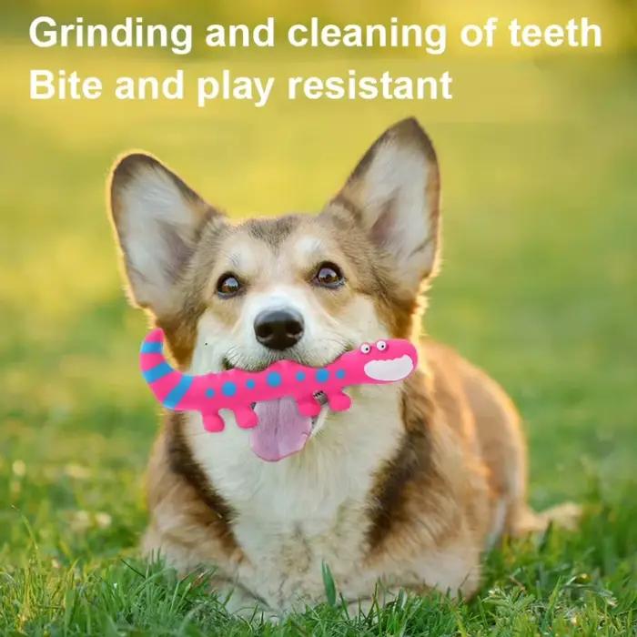 Jouet à mâcher en Latex pour chien