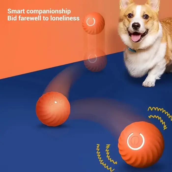 Balle de jeu pour chien