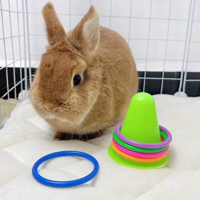 Jouet de virole de lapin en forme de cône de crème glacée aléatoire