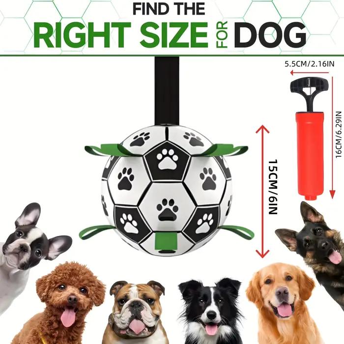Damaly, jouet interactif de football pour chien avec anneau de poignée