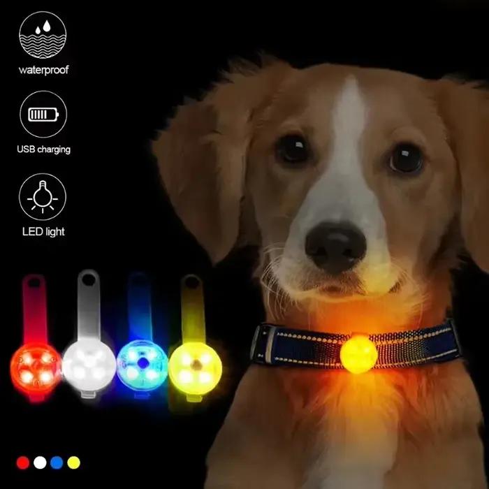 Collier pour chien, collier de perte
