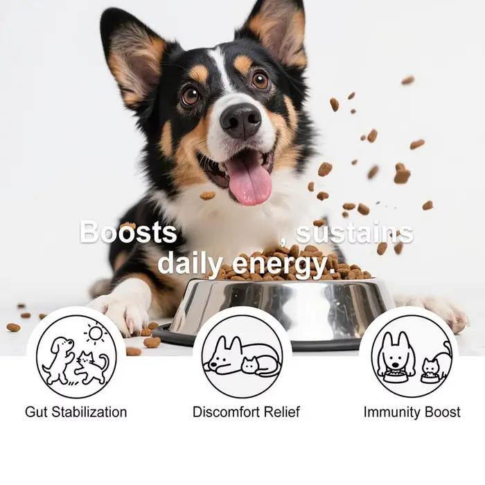 Poudre Probiotique pour Chiens Saveur Bacon Délicieuse Soutien Digestif Longue Durée de Conservation Supplément de Santé Premium pour Animaux de Compagnie