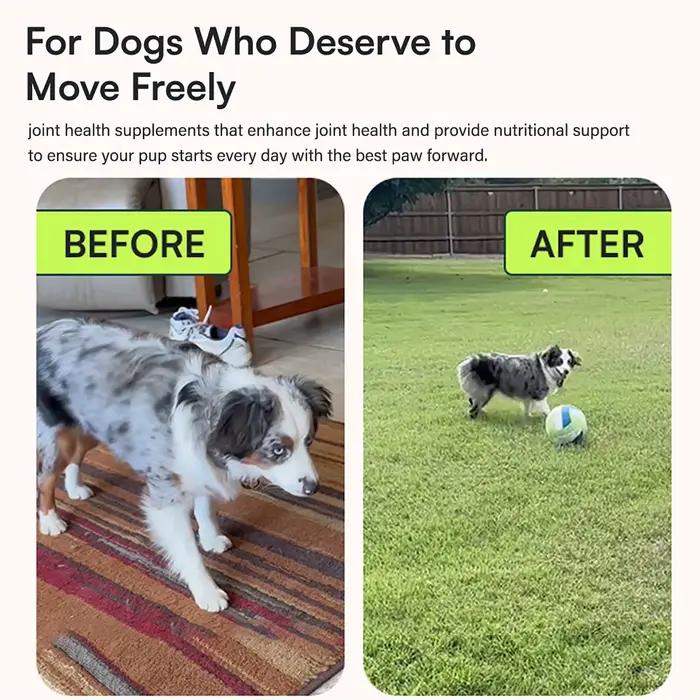 Complément avancé pour les hanches et les articulations des chiens avec glucosamine