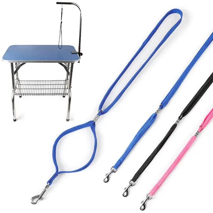 Laisse pour animaux de compagnie