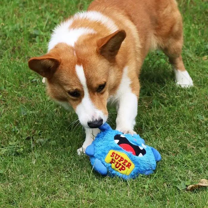 Jouets interactifs pour chiens