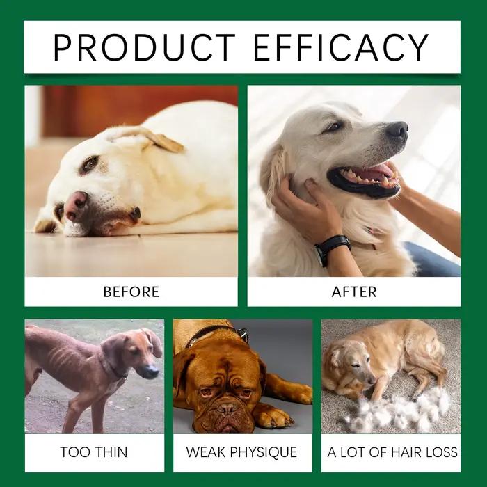 Complément multivitaminé pour chien - Formule douce pour soulager les inconforts cutanés et soutenir la nutrition quotidienne avec des vitamines essentielles