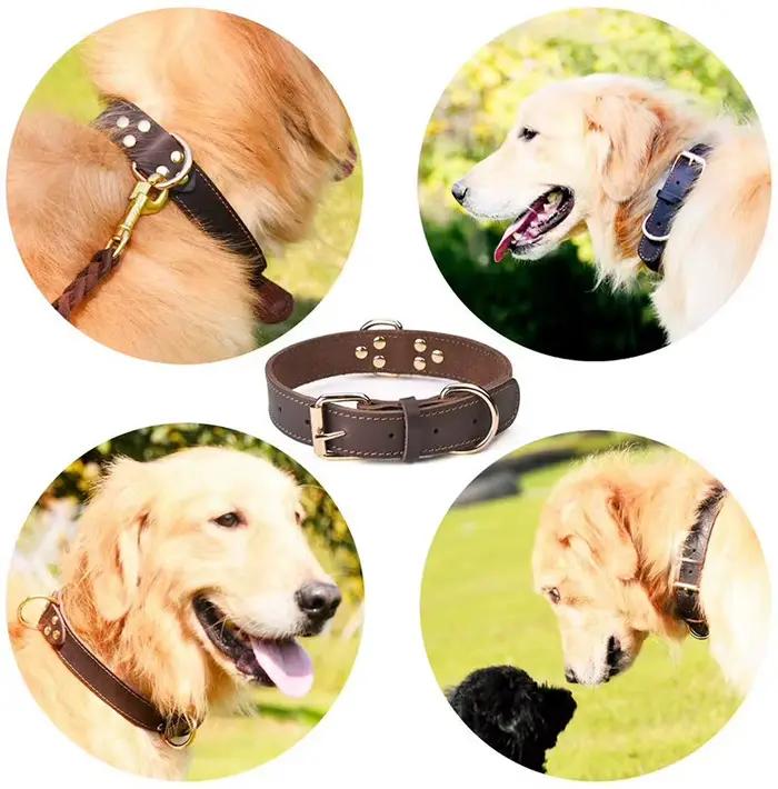 Collier pour chien en cuir véritable de qualité