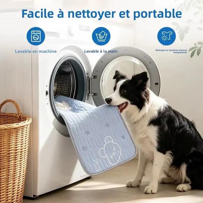 Tapis rafraîchissant pour chien