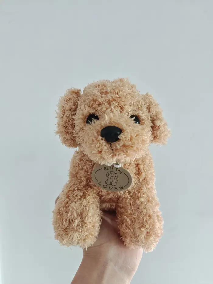 Jouet en peluche pour chien