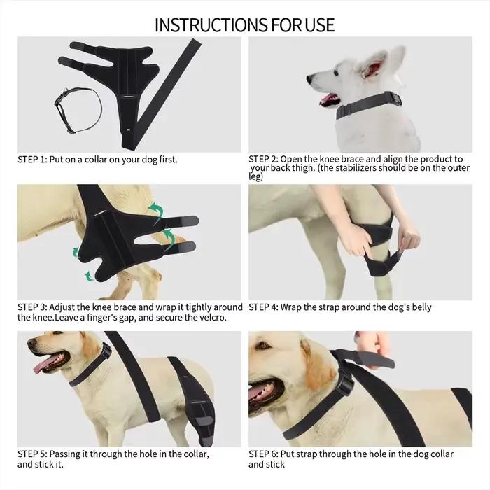 Genouillère pour chien de compagnie