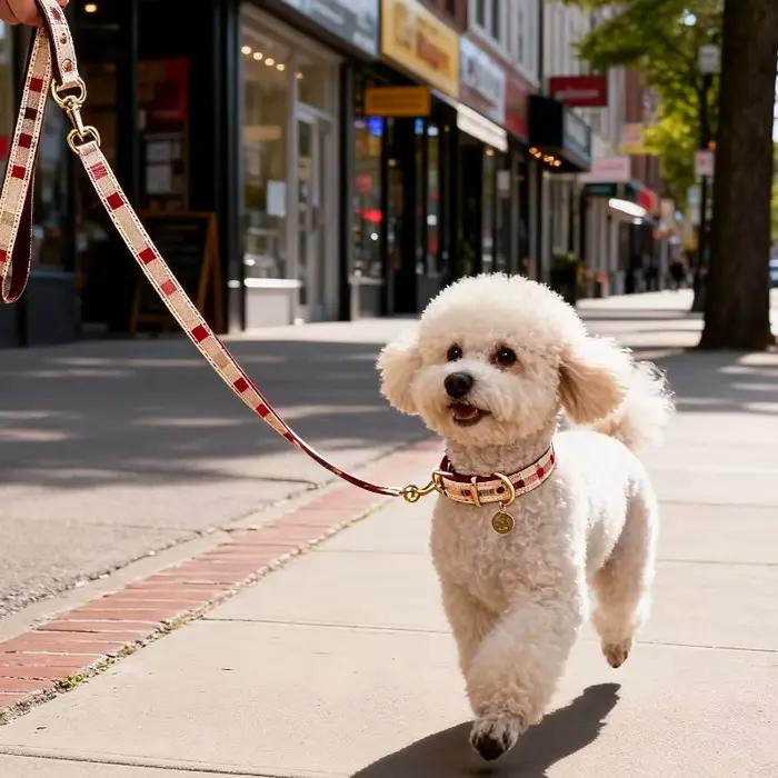 Ensemble de collier pour animaux de compagnie tendance