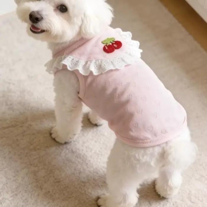 Gilet en dentelle pour chien à col volanté