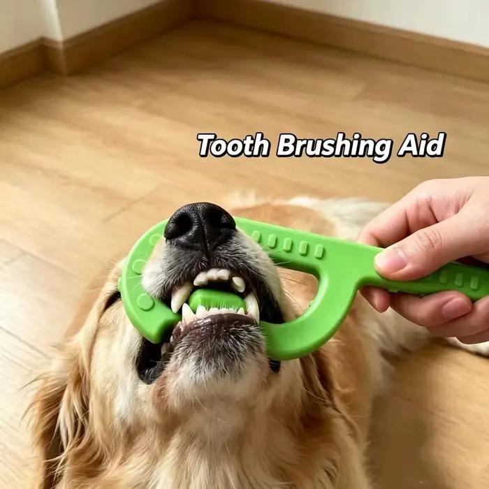 Outil d'aide au brossage pour chien