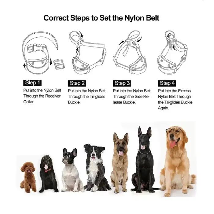 Collier Anti-Aboiement pour Chien de Compagnie