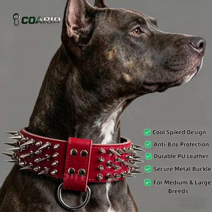 Collier pour animaux de compagnie en cuir rouge à rivets