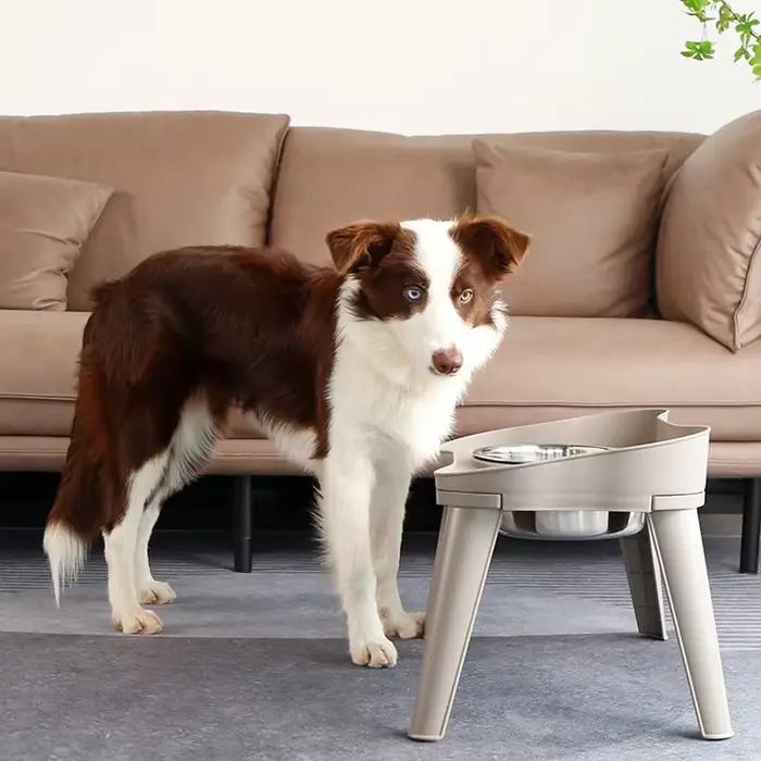 Bol pour animaux de compagnie en acier inoxydable