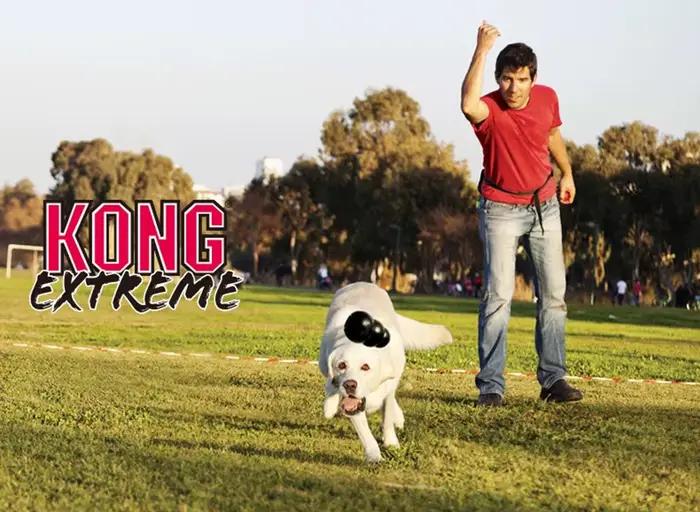 S-XXL KONG Extreme Dog Toy avec votre choix de chien soucieux