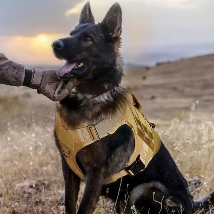 Harnais tactique pour chien avec poignée