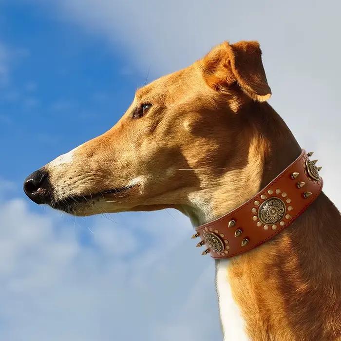 Grand collier pour chien en cuir, colliers cloutés à pointes Pitbull pour chiens de taille moyenne et grande, collier pour animaux de compagnie Durable en cuir véritable marron