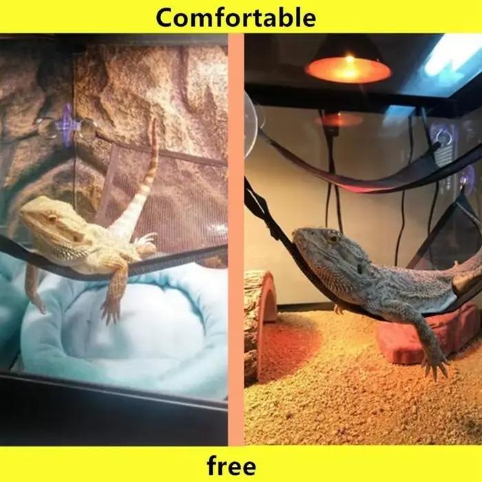Ensemble d'accessoires pour reptiles : hamac