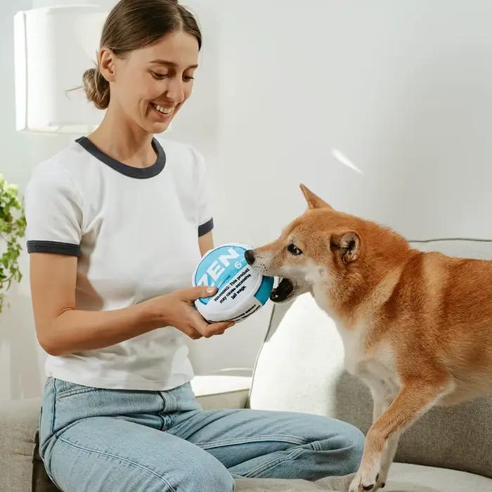 Jouet parodie pour chien Zen Pupper Deckies