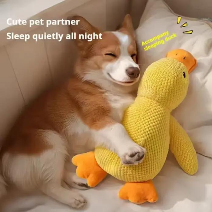 Chien de compagnie dormant avec des jouets de canard pour soulager l'ennui du petit