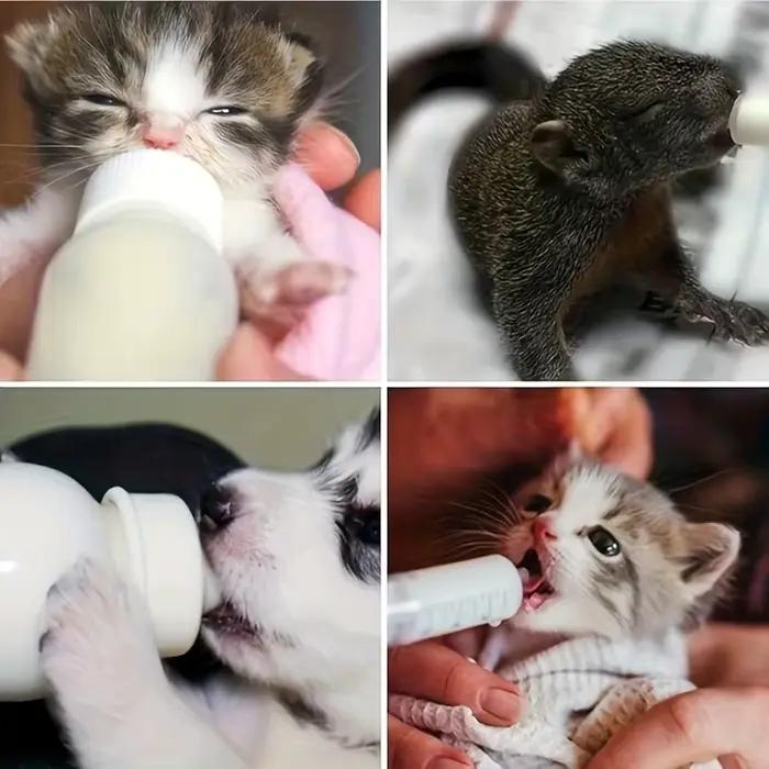 Tétine d'alimentation pour animaux de compagnie : Tétine pour chaton, tétine pour chiot, distributeur de lait en poudre ; Biberon d'allaitement pour chiot pour l'alimentation au lait des petits animau