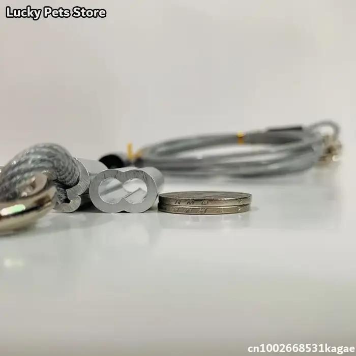 Laisse pour chien avec câble en acier