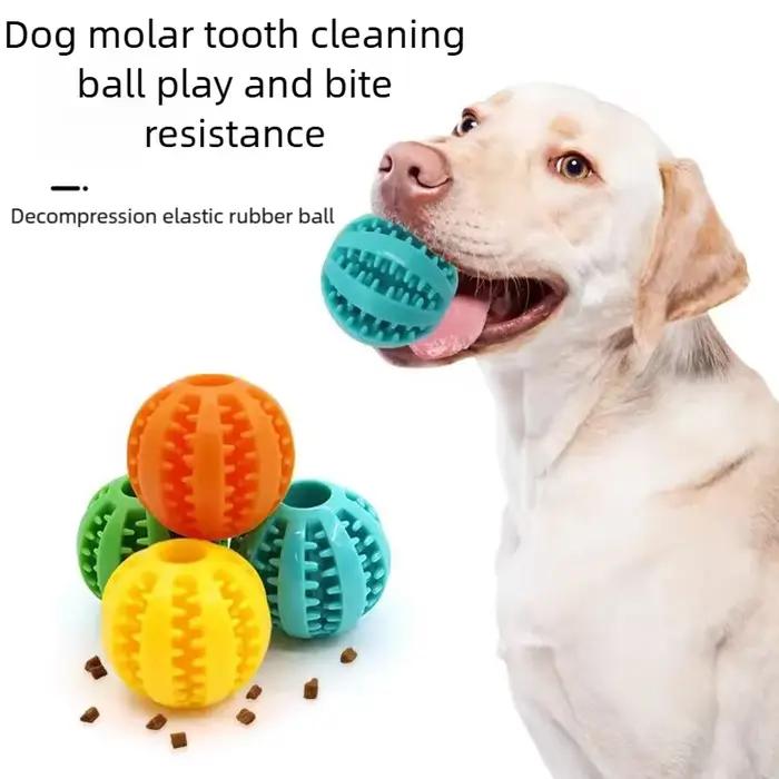 Boule de nourriture interactive pour chien